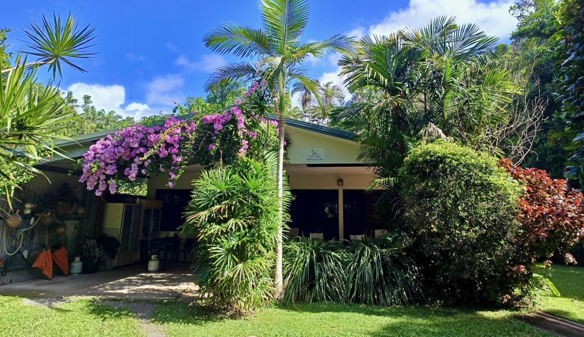 Thornton Beach Bungalows Daintree Cape Tribulation Exterior foto