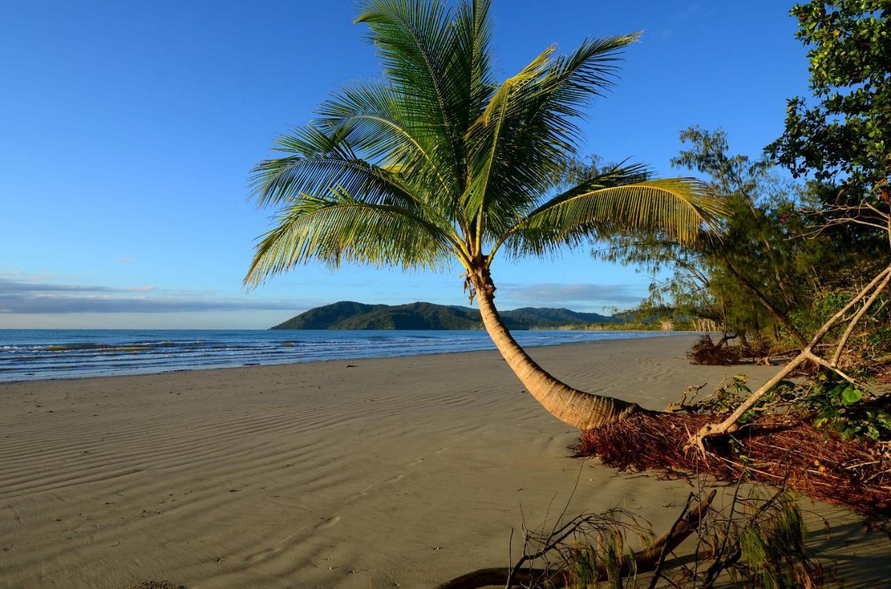 Thornton Beach Bungalows Daintree Cape Tribulation Exterior foto